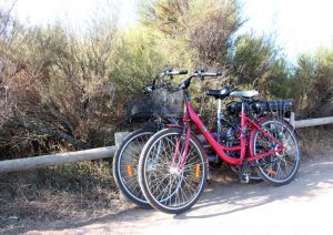 Services plus du camping : Les parkings pour vélos