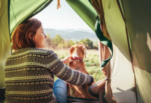 Un camping acceptant les animaux