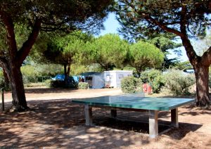 La table de ping-pong