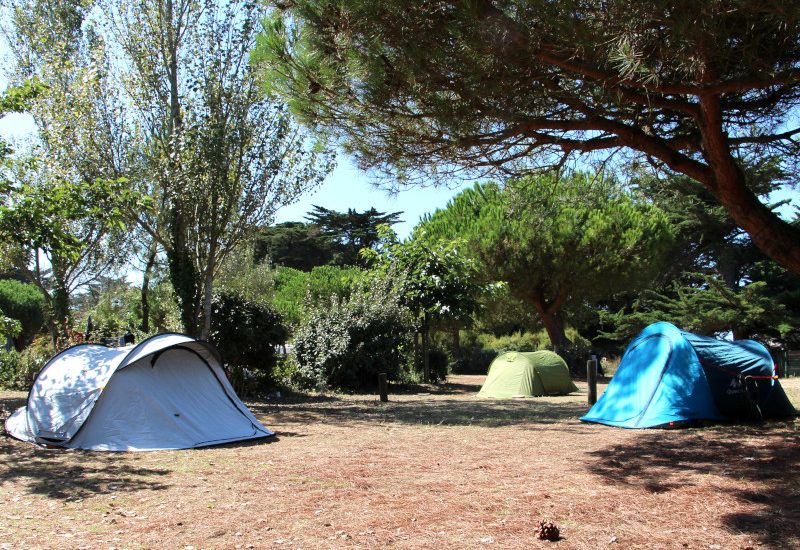 Emplacement avec électricité "côté plage"