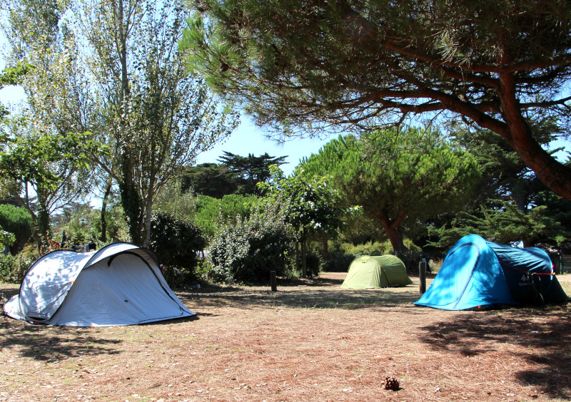 Emplacement avec électricité "côté plage"