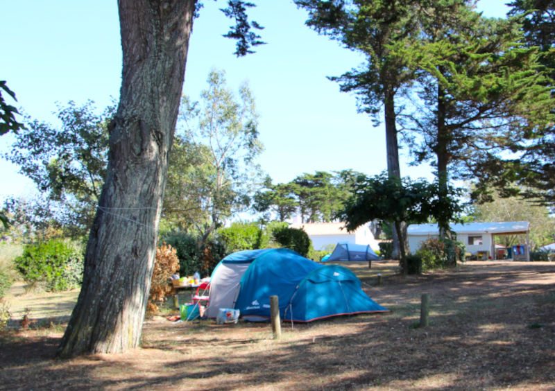 Les emplacement "grand terrain"